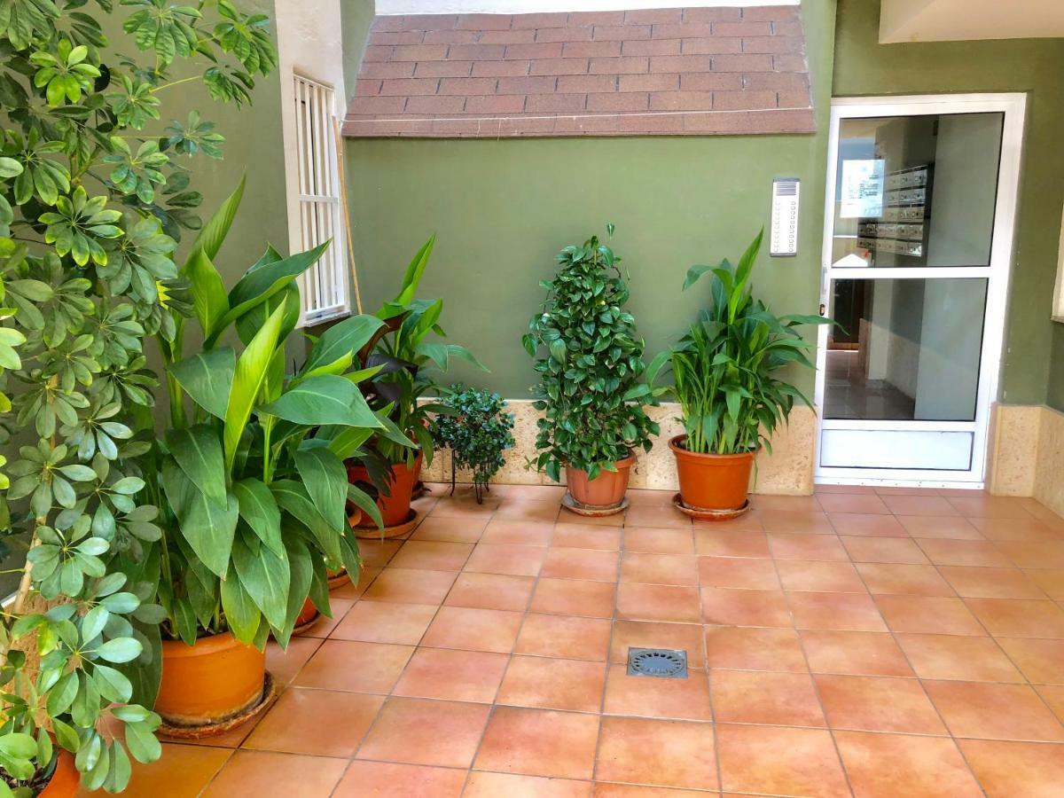 Apartament Calle De Los Jardines, 26 Apartamento Moncófar Zewnętrze zdjęcie